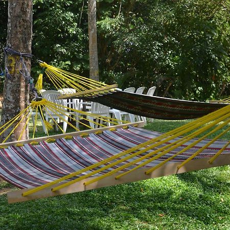 Jungle Beach Hostel Unawatuna Kültér fotó
