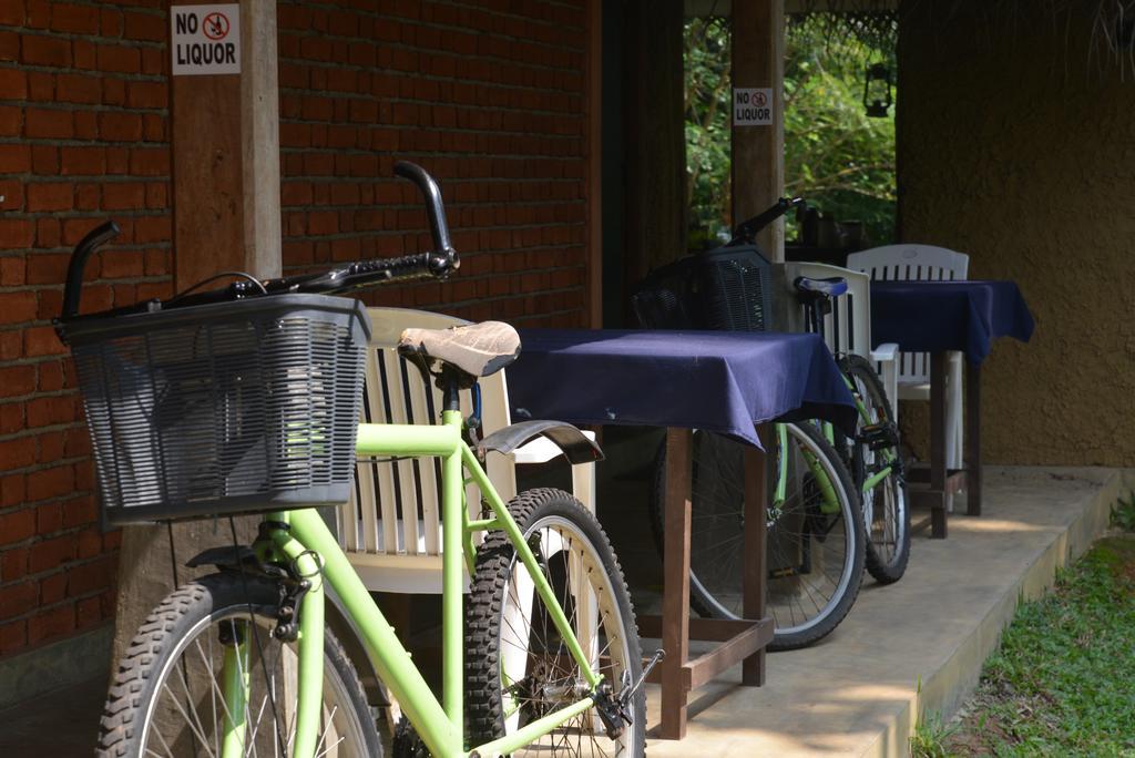 Jungle Beach Hostel Unawatuna Kültér fotó